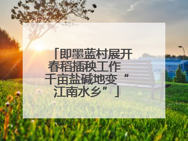 即墨蓝村展开春稻插秧工作 千亩盐碱地变“江南水乡”