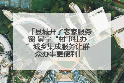 县城开了老家服务窗 景宁“村事社办”城乡集成服务让群众办事更便利