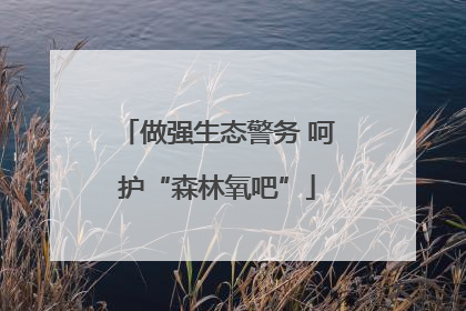 做强生态警务 呵护“森林氧吧”