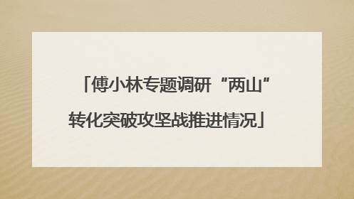 傅小林专题调研“两山”转化突破攻坚战推进情况