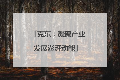 克东：凝聚产业发展澎湃动能
