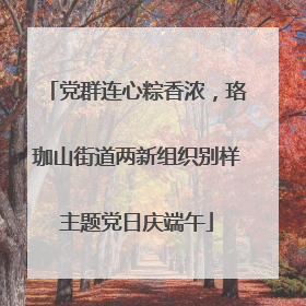 党群连心粽香浓，珞珈山街道两新组织别样主题党日庆端午