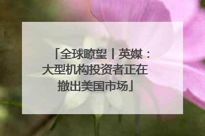 全球瞭望丨英媒：大型机构投资者正在撤出美国市场