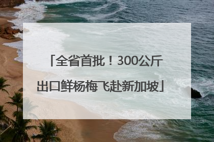 全省首批！300公斤出口鲜杨梅飞赴新加坡