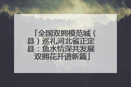 全国双拥模范城（县）巡礼河北省正定县：鱼水情深共发展 双拥花开谱新篇