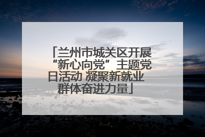 兰州市城关区开展“新心向党”主题党日活动 凝聚新就业群体奋进力量