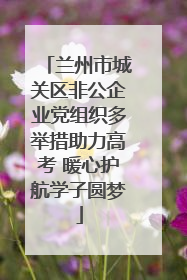 兰州市城关区非公企业党组织多举措助力高考 暖心护航学子圆梦