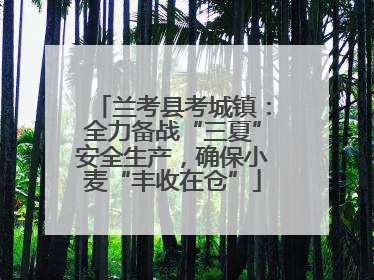 兰考县考城镇：全力备战“三夏”安全生产，确保小麦“丰收在仓”