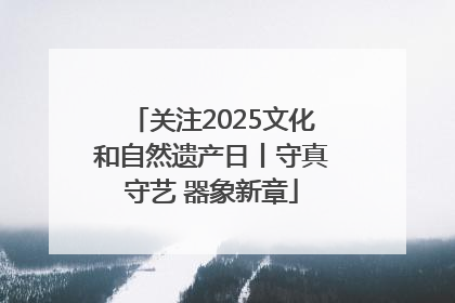 关注2025文化和自然遗产日丨守真守艺 器象新章