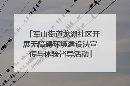 军山街道龙湖社区开展无障碍环境建设法宣传与体验督导活动