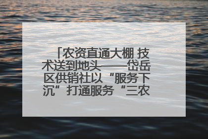 农资直通大棚 技术送到地头——岱岳区供销社以“服务下沉”打通服务“三农”最后一公里