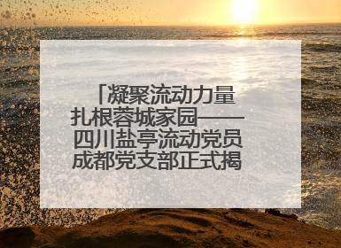 凝聚流动力量 扎根蓉城家园——四川盐亭流动党员成都党支部正式揭牌成立