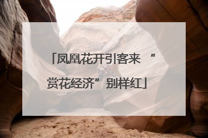 凤凰花开引客来 “赏花经济”别样红