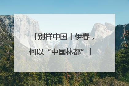 别样中国丨伊春，何以“中国林都”