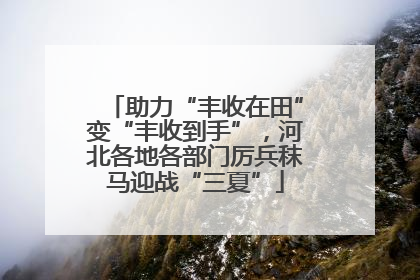 助力“丰收在田”变“丰收到手”，河北各地各部门厉兵秣马迎战“三夏”