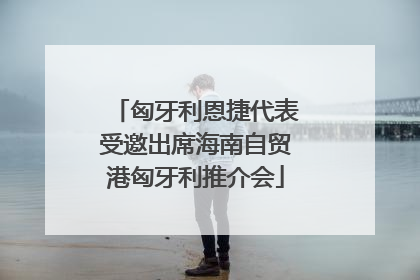 匈牙利恩捷代表受邀出席海南自贸港匈牙利推介会