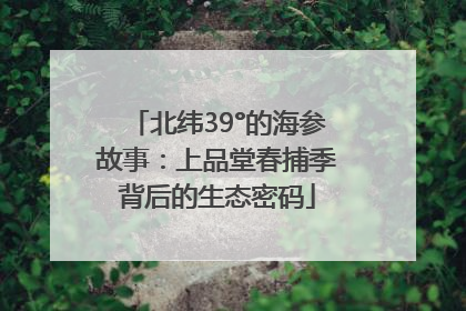 北纬39°的海参故事：上品堂春捕季背后的生态密码