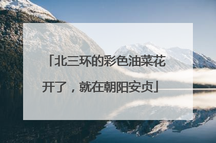 北三环的彩色油菜花开了，就在朝阳安贞