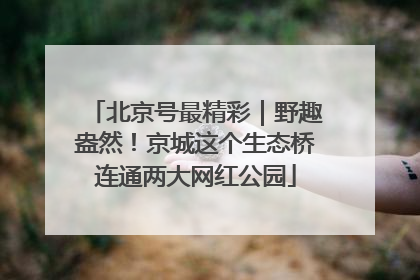 北京号最精彩｜野趣盎然！京城这个生态桥连通两大网红公园