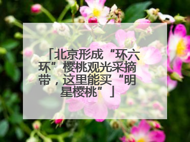 北京形成“环六环”樱桃观光采摘带，这里能买“明星樱桃”