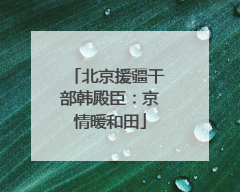 北京援疆干部韩殿臣：京情暖和田
