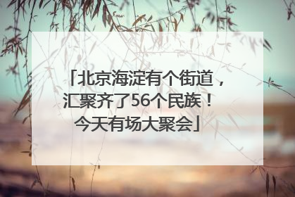 北京海淀有个街道，汇聚齐了56个民族！今天有场大聚会