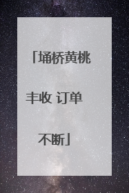 埇桥黄桃丰收 订单不断
