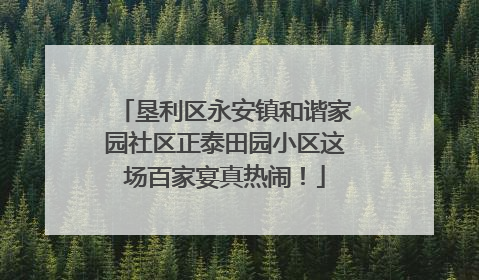 垦利区永安镇和谐家园社区正泰田园小区这场百家宴真热闹！