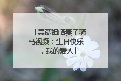 吴彦祖晒妻子骑马视频：生日快乐，我的爱人