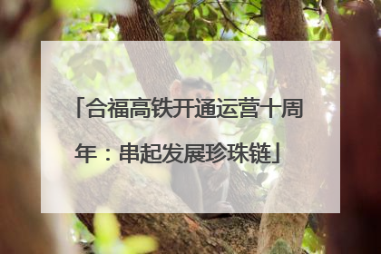 合福高铁开通运营十周年：串起发展珍珠链