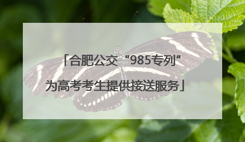 合肥公交“985专列”为高考考生提供接送服务