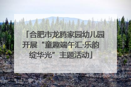合肥市龙腾家园幼儿园开展“童趣端午汇·乐韵绽华光”主题活动