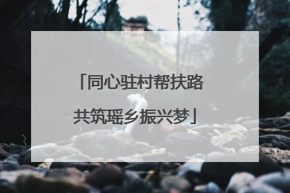 同心驻村帮扶路 共筑瑶乡振兴梦