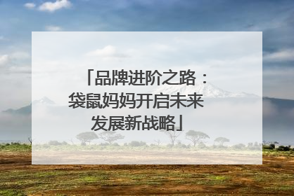 品牌进阶之路：袋鼠妈妈开启未来发展新战略