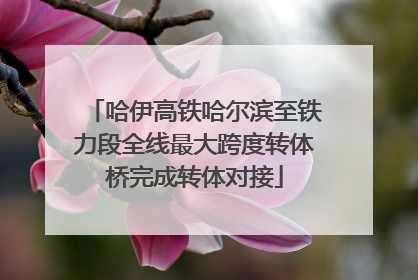哈伊高铁哈尔滨至铁力段全线最大跨度转体桥完成转体对接