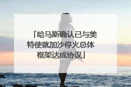 哈马斯确认已与美特使就加沙停火总体框架达成协议