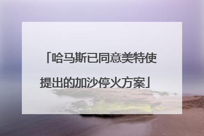 哈马斯已同意美特使提出的加沙停火方案