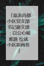 嘉龙尚都小区党支部书记谢文盛：以公心破难题 绘就小区新画卷