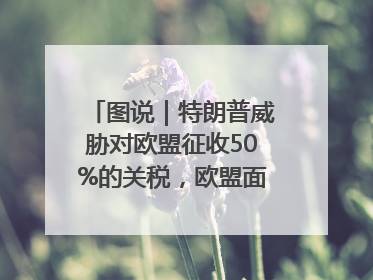 图说｜特朗普威胁对欧盟征收50%的关税，欧盟面临多重压力