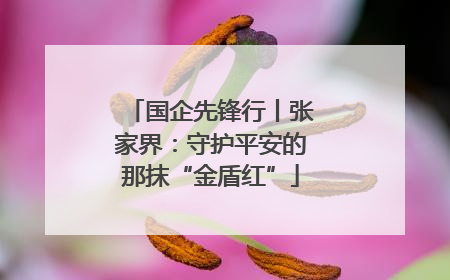 国企先锋行丨张家界：守护平安的那抹“金盾红”