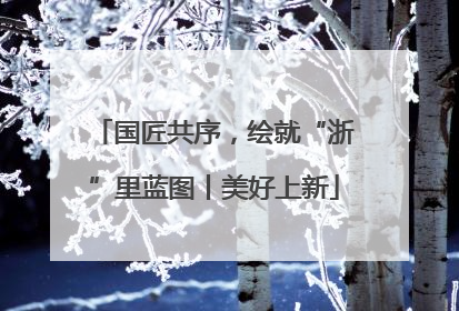 国匠共序，绘就“浙”里蓝图丨美好上新