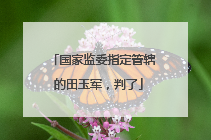 国家监委指定管辖的田玉军，判了