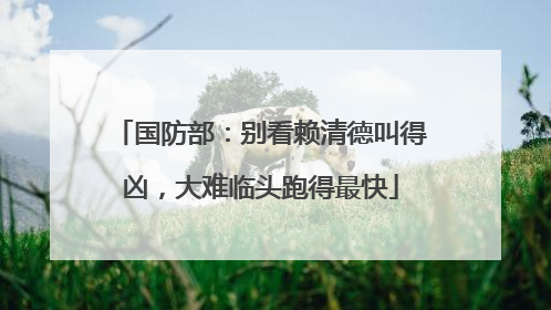 国防部：别看赖清德叫得凶，大难临头跑得最快