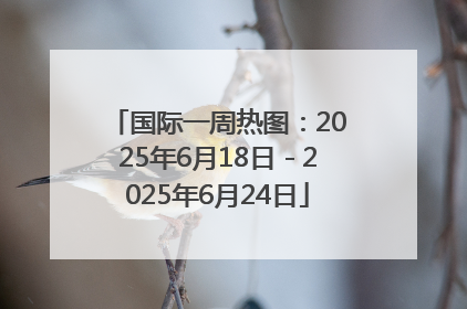 国际一周热图：2025年6月18日－2025年6月24日