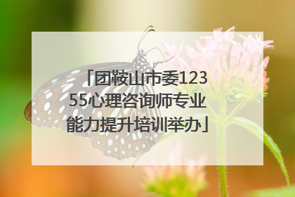 团鞍山市委12355心理咨询师专业能力提升培训举办