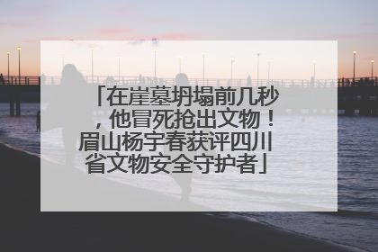 在崖墓坍塌前几秒，他冒死抢出文物！眉山杨宇春获评四川省文物安全守护者