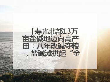 寿光北部13万亩盐碱地迈向高产田：八年改碱夺粮，盐碱滩拱起“金粮仓”