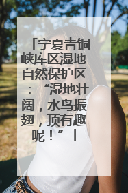 宁夏青铜峡库区湿地自然保护区：“湿地壮阔，水鸟振翅，顶有趣呢！”