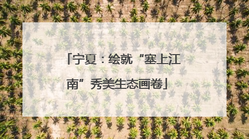 宁夏：绘就“塞上江南”秀美生态画卷