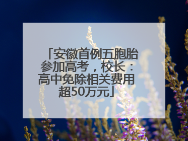 安徽首例五胞胎参加高考，校长：高中免除相关费用超50万元